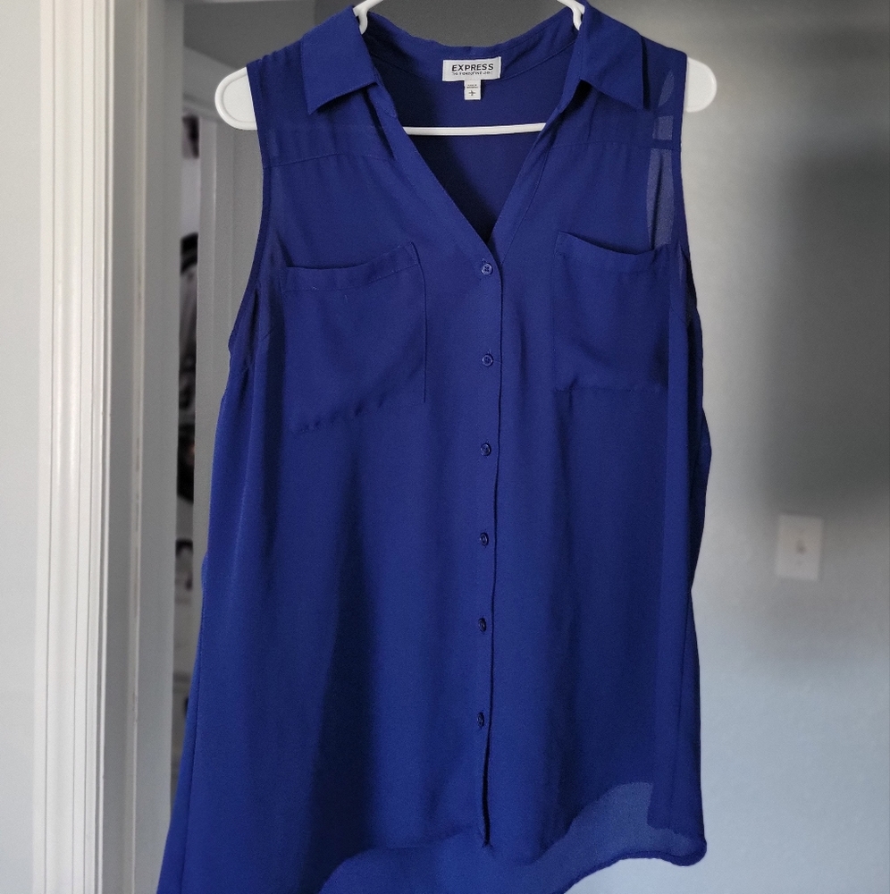 Blue Express Dress Blouse, Large